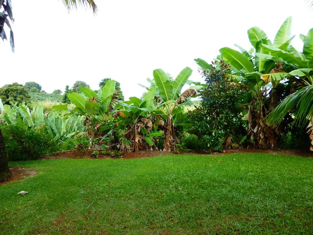 **** Guest house Island Goode'S - Luxury Adult Only Accommodation Near Hilo United States