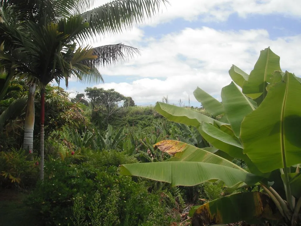 Island Goode'S - Luxury Adult Only Accommodation Near Hilo 4*, Papaikou