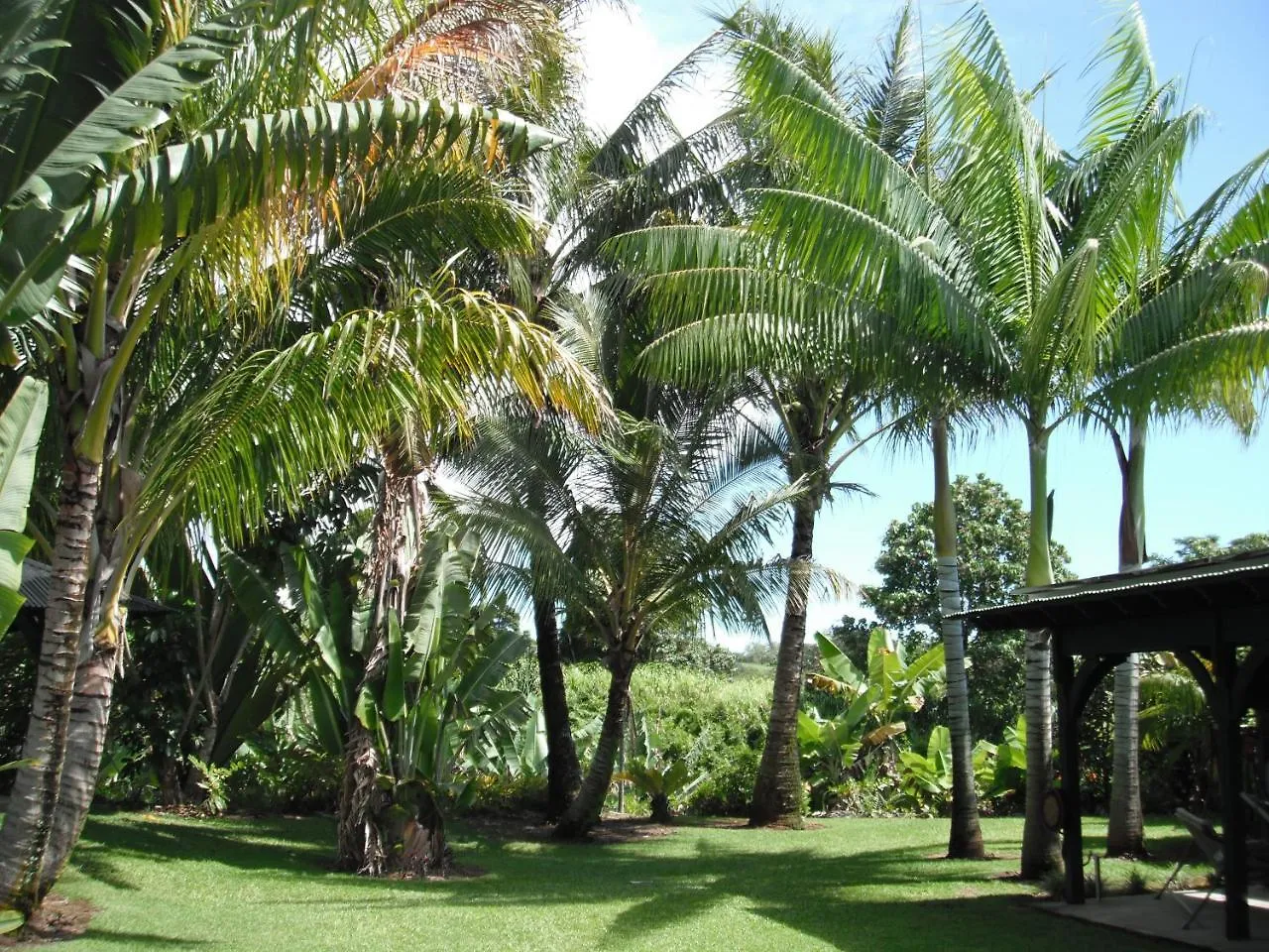 Island Goode'S - Luxury Adult Only Accommodation Near Hilo