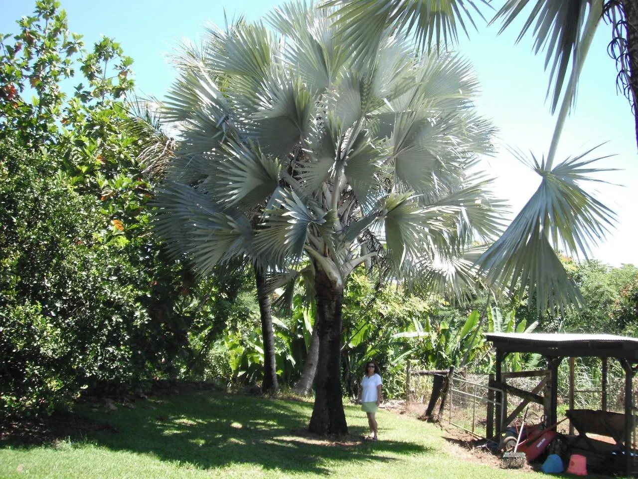 Island Goode'S - Luxury Adult Only Accommodation Near Hilo Guest house Papaikou