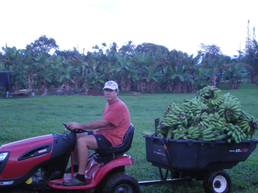 Island Goode'S - Luxury Adult Only Accommodation Near Hilo United States