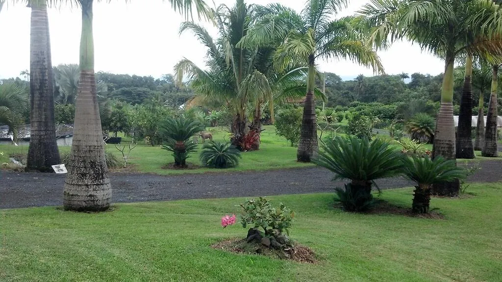 Island Goode'S - Luxury Adult Only Accommodation Near Hilo