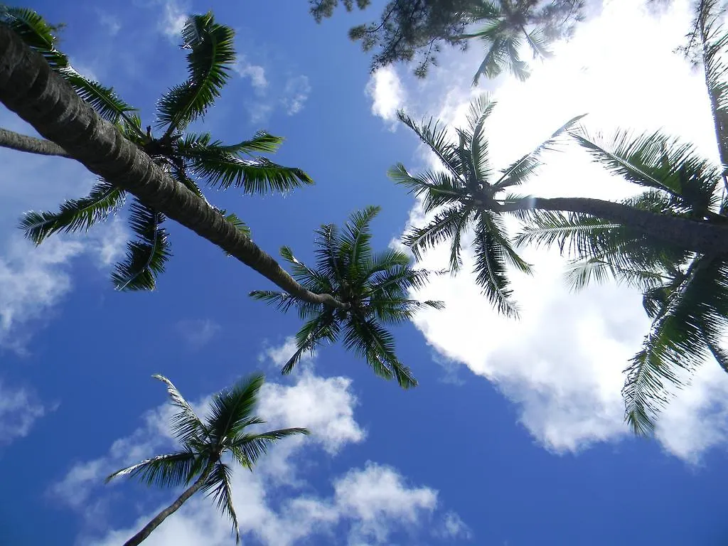 Island Goode'S - Luxury Adult Only Accommodation Near Hilo 4*, Papaikou